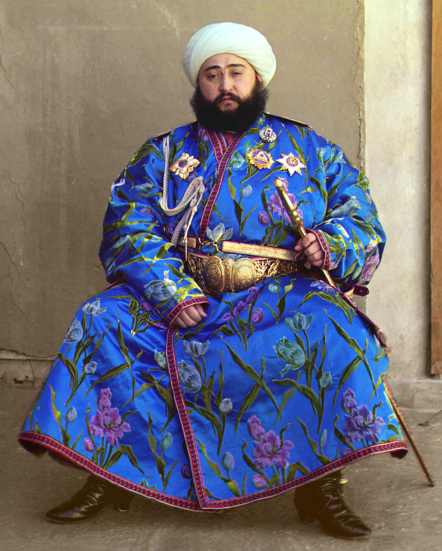 賽益德的祖先，布哈拉汗國末代埃米爾賽益德·米爾·穆罕默德·阿利姆汗像