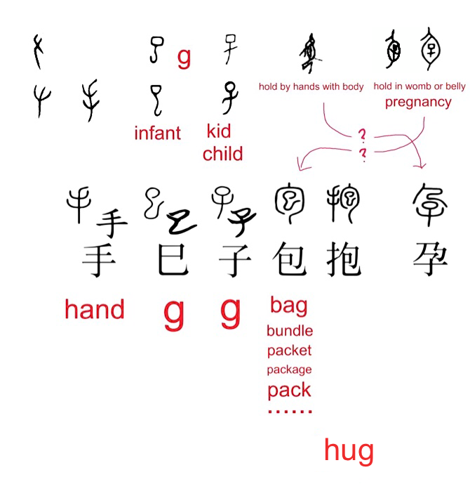 【附圖：「手、巳、子、包、抱、孕」字形演化及 English 之 hug 與漢字「抱」的橋接關係】