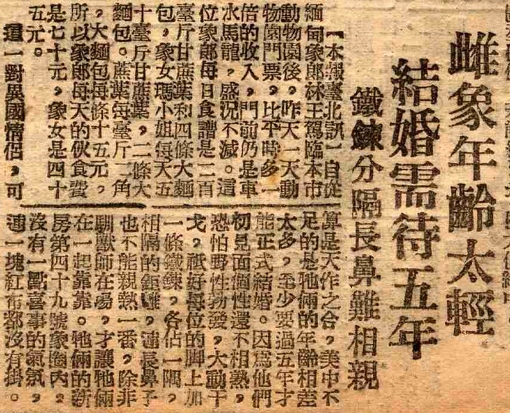 1954年11月2日《民聲日報》