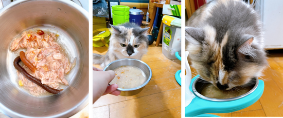 上圖：習慣將化毛膏和超級營養膏直接加入日常的副食罐頭中，再加上一些水，貓主子一樣吃的津津有味
