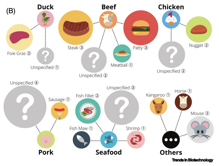 不同的物種又分別可以做出不一樣的產品。像是牛肉，有的公司主要是研發做成漢堡肉、有的是主打牛肉丸、有得則是牛排。圖片來源：Choudhury et al., 2020 (Trends in Biotechnology)