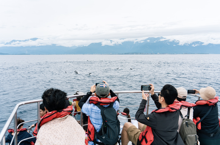 出海賞鯨，認識鯨豚及花蓮特殊的海洋生態。圖：施羅德投信提供