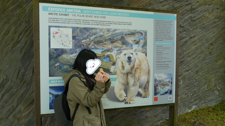 沒看到北極熊的朋友，只能買了一個北極熊的紀念幣