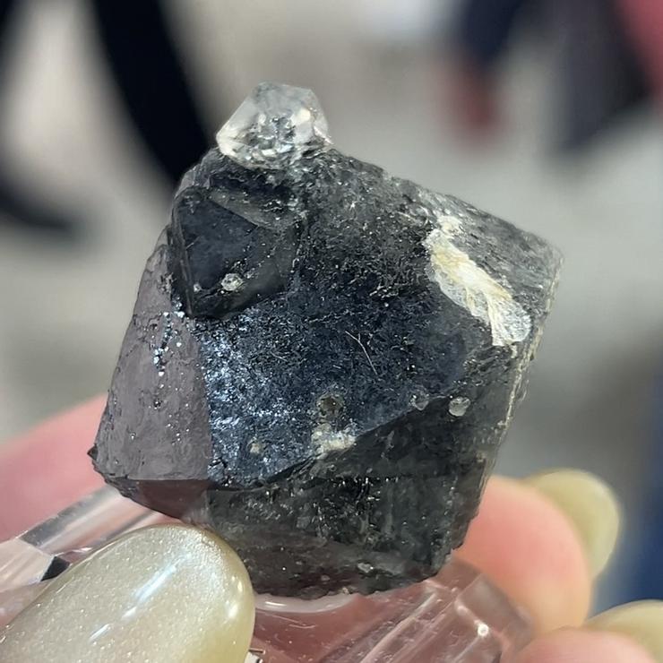 義大利波隆那地區的Beta quartz，在義大利則是稱黑水晶，礦商說內部包含鐵質而呈現黑色