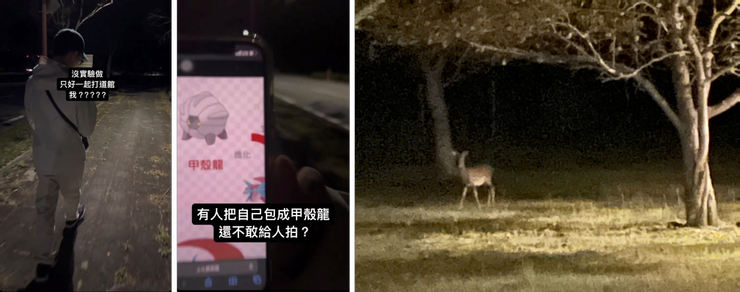 左邊截了學姐的限動來用 XD，右邊這隻鹿真的是比較清楚的一隻了，但還是好遠，手機畫質可惡qq。