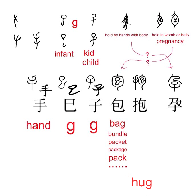 【附圖:「手、巳、子、包、抱、孕」字形演化及 English 之 hug 與漢字「抱」的橋接關係】