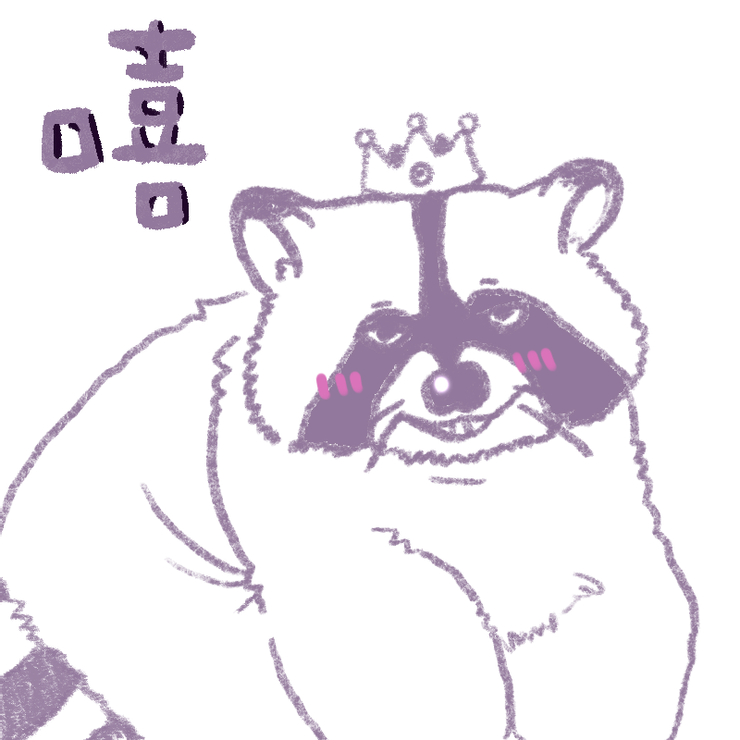 浣熊(Raccoon)：胖、易怒、夜行性、愛吃垃圾、可愛但性格惡劣（？）