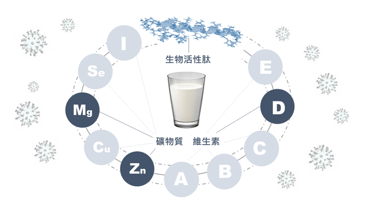 圖五: 牛奶封印新冠來自維生素、礦物質和生物活性肽