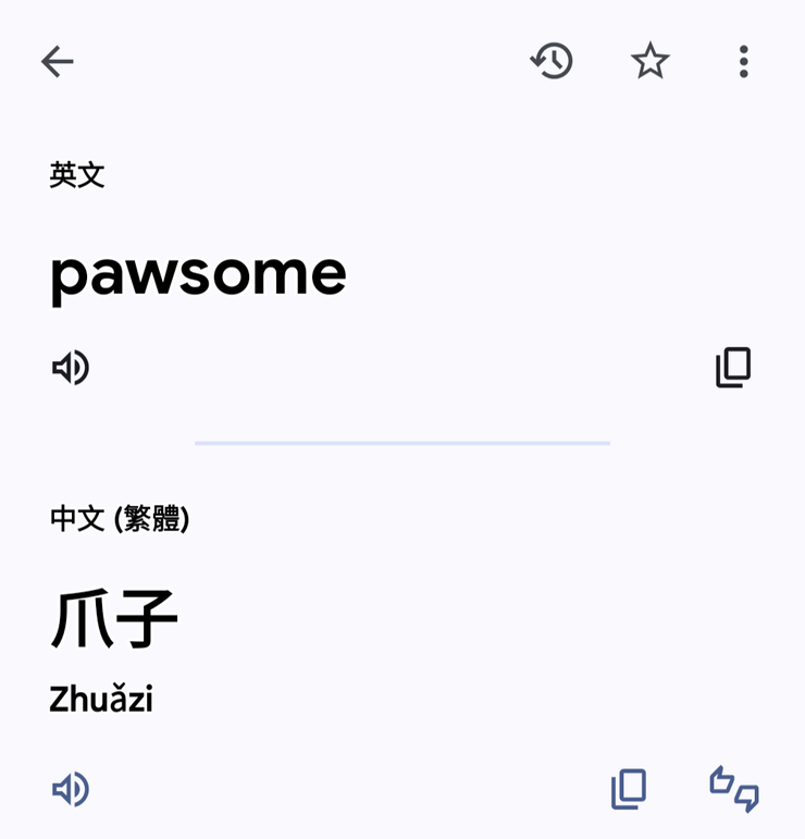 pawsome，Google 翻譯