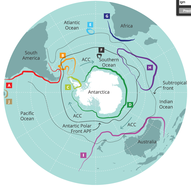 企鵝的演化路徑，從澳洲紐西蘭（I）開始 --> 南極洲（D） --> 南極半島 （C）--> 南美 （A）