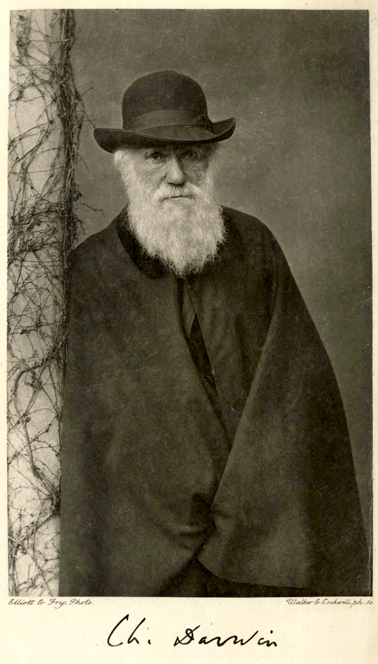 年老時的達爾文 (圖片引自Wikimedia)