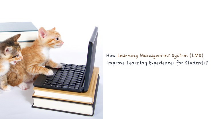 How Learning Management System (LMS) Improve Learning Experiences for Students