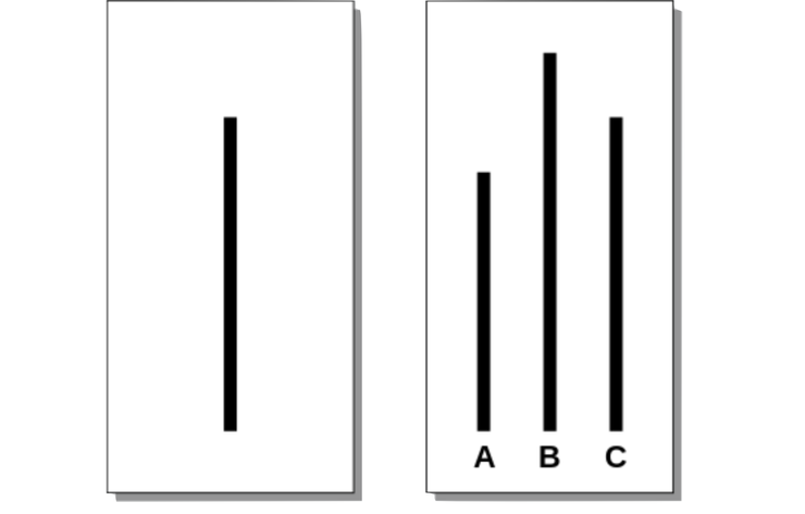 右邊三條線中，哪一條和左邊的一樣長呢？