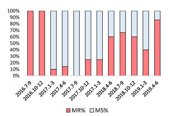 高雄長庚針對黴漿菌於macrolide的抗藥性，於2016-2019年所做的病例統計。MR:具抗藥性的黴漿菌。