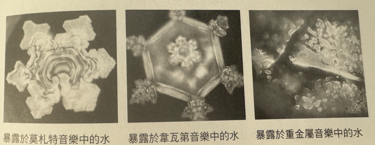 暴露在不同音樂下的水珠形狀