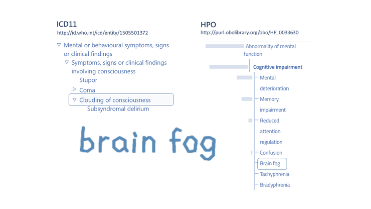 Brain Fog ( ICD11, HPO )