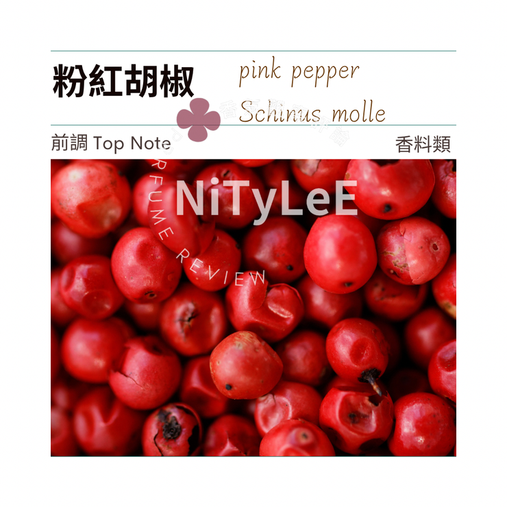 pink pepper cover all rights are reserved by NiTyLeE