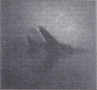 1980年9月25日伊朗雄貓擊落的一架米格23對地攻擊型米格23BN，圖像由另一架F-4E的AN/ASX-1光電目標識別系統拍攝。