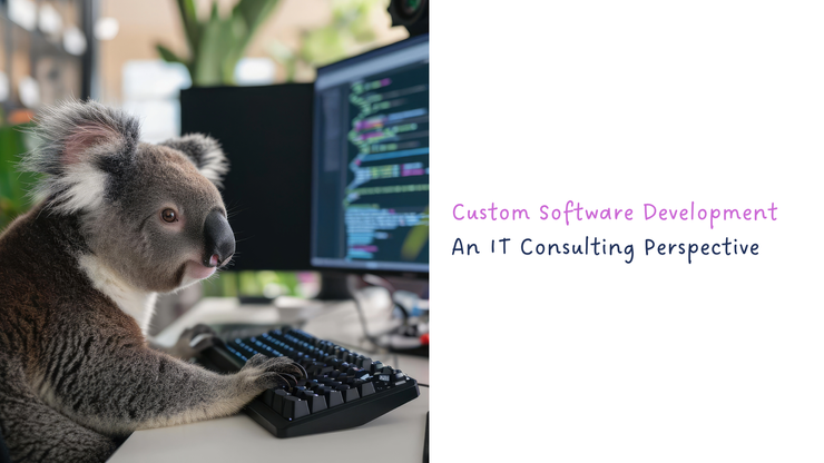 Custom Software Development - An IT Consulting Perspective
