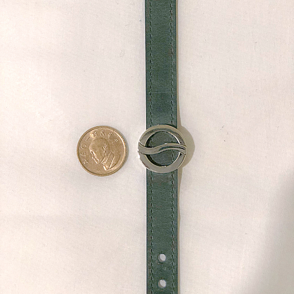 舒心手環的錶頭比1元硬幣稍微小一點