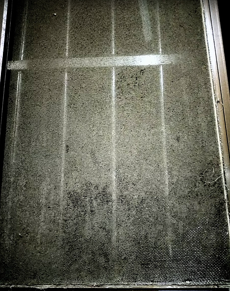 廚房紗窗被淨化因子清潔了