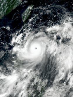 璨樹颱風最強時的衛星圖像