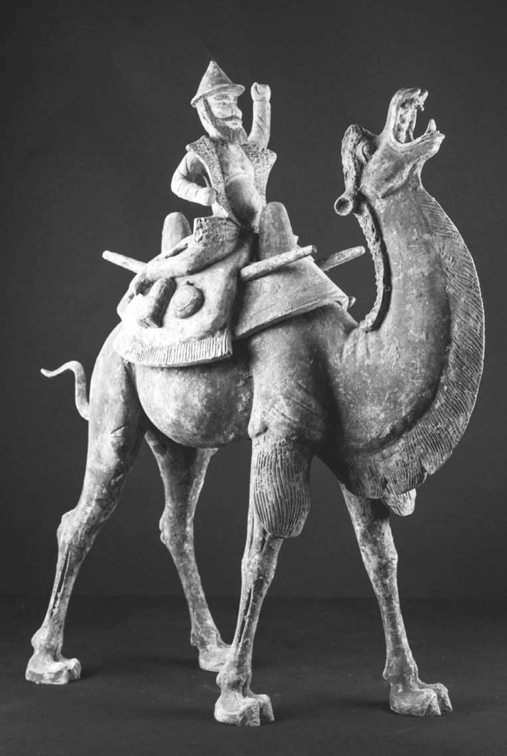 粟特人與駱駝：photo credit: 興亡的世界史