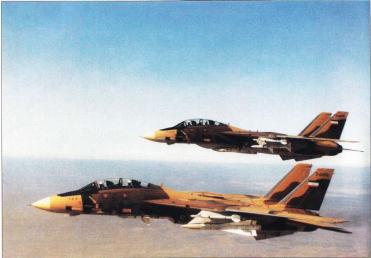 兩架伊朗雄貓,其中一架在翼根掛架上攜帶泥石飛彈。