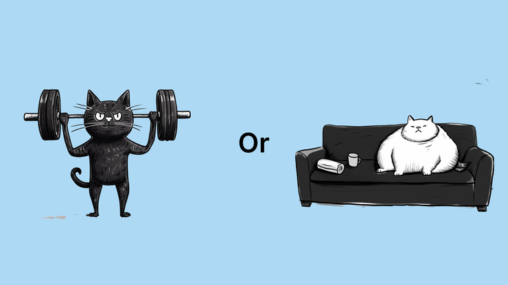 請選擇：當一隻健壯的貓，還是一隻躺在沙發上的肥貓（好像也不錯？）
