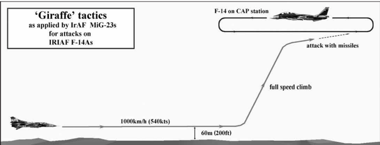 長頸鹿戰術的實施方式。值得一提的是1987年時南非幻象F1也在採用類似方式對抗安哥拉的米格23,因為南非空軍的幻象不具備超視距戰鬥能力且就連熱導引飛彈也不具備迎頭攻擊能力,難以正面抗衡兩者能力兼具的米格23ML。
