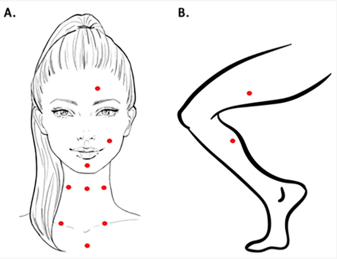 不同部位的肌膚檢測點示意圖（引用自此文獻Figure 1.）