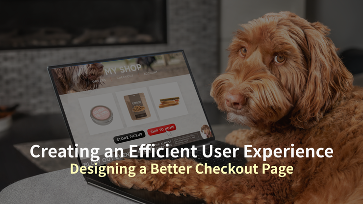Creating an Efficient User Experience: Designing a Better Checkout Page