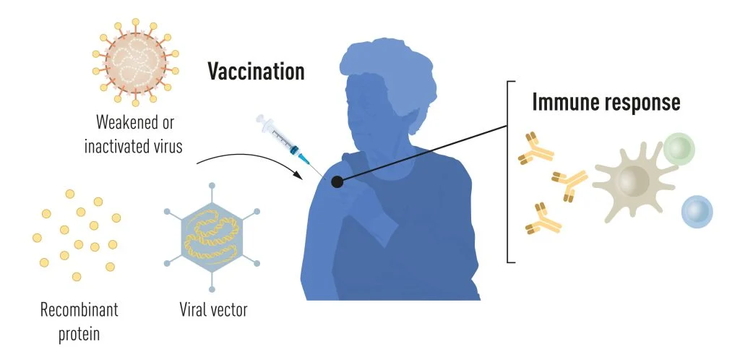 不同種類的疫苗製作方式