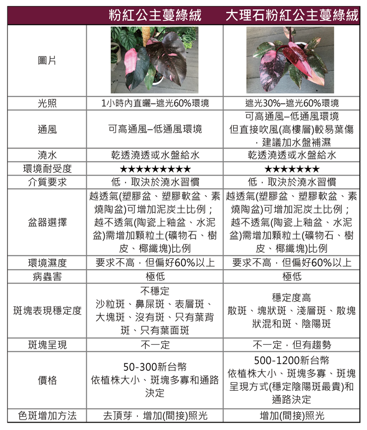 粉紅公主蔓綠絨與大理石粉紅公主蔓綠絨的栽種條件比較