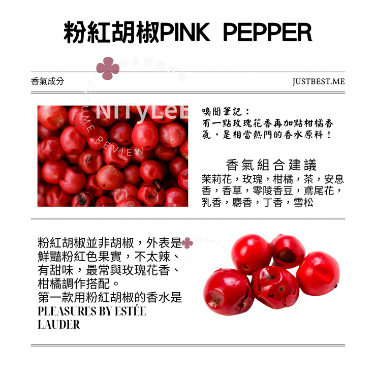 pink pepper intro all rights are reserved by NiTyLeE