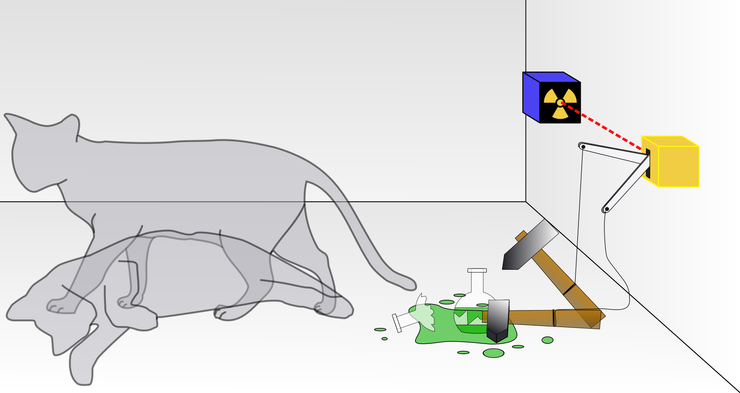 薛丁格的貓｜來源：維基百科