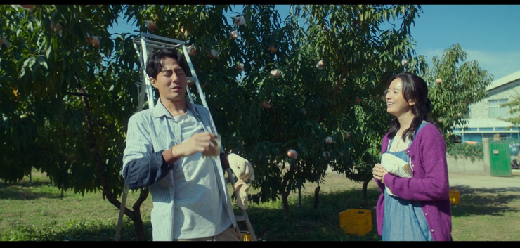 在果園中，金斗植不願飛行，還是直接用梯子摘水果。雖然辛苦，但金斗植跟李美賢很幸福。（Source: Disney +）