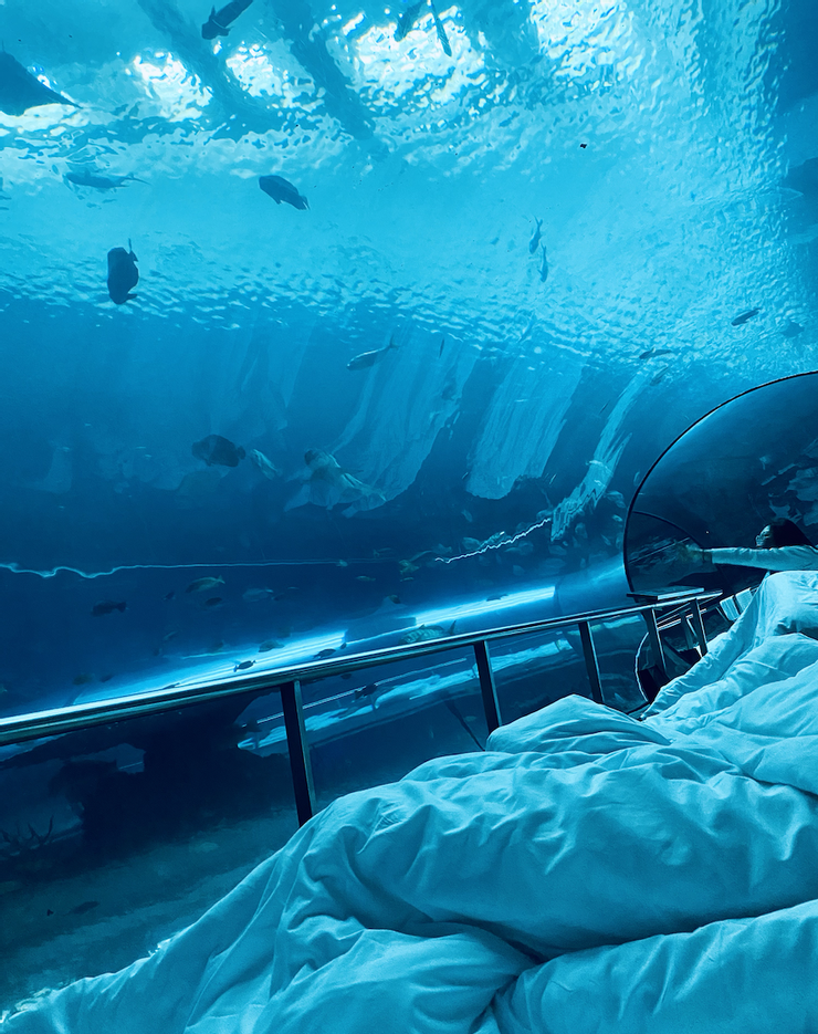 🐠《夜宿海生館》海底隧道第3區段，在隧道地板鋪好棉被的樣子。｜圖：閒人
