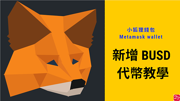 Metamask｜小狐狸錢包新增 BUSD 教學 (How to add BUSD in Metamask)