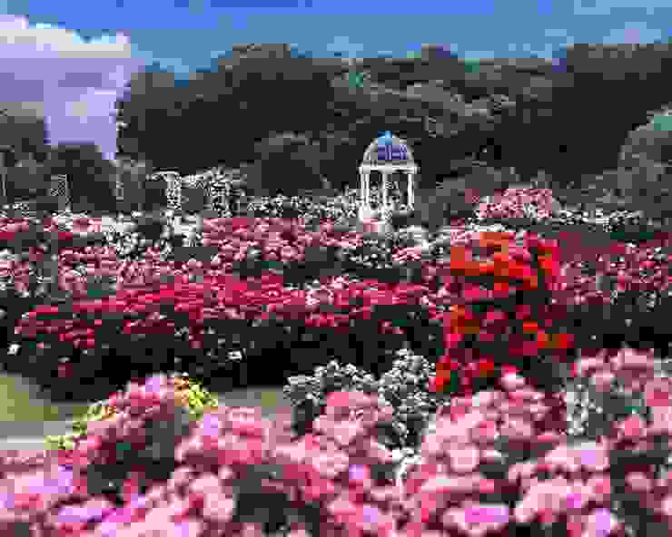 波特蘭玫瑰花園
