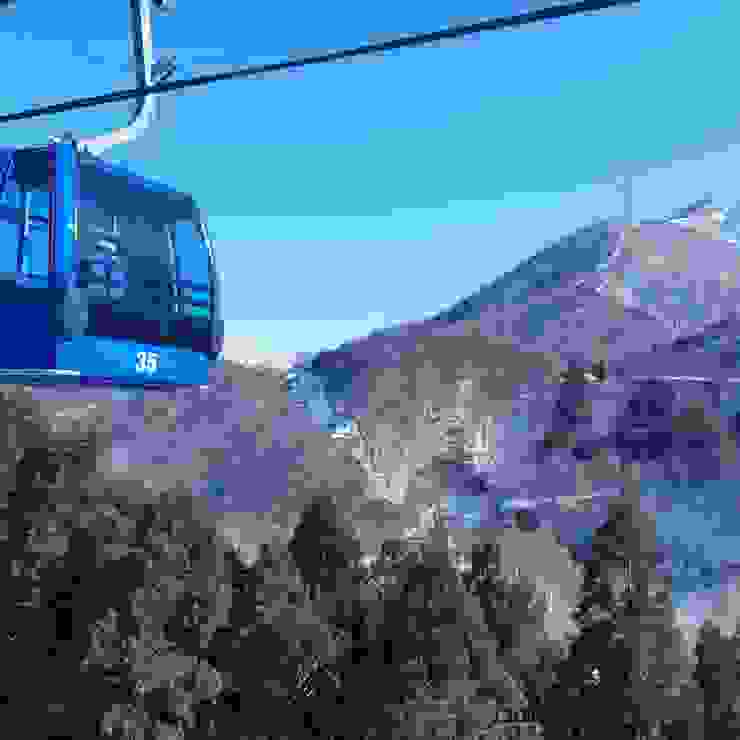 神樂滑雪場 龍纜車