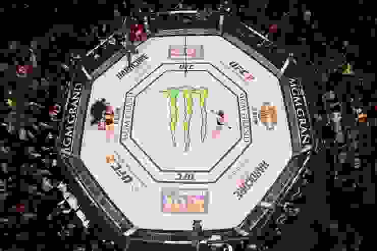 經典的 UFC 八角籠