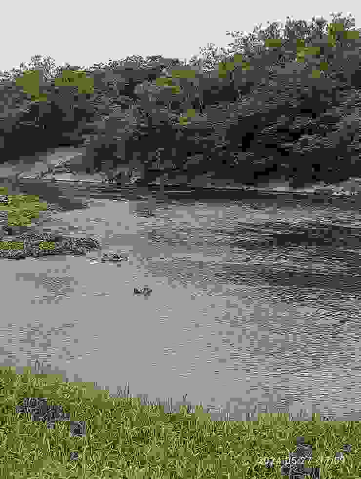 濁溪沆溉，自拍攝