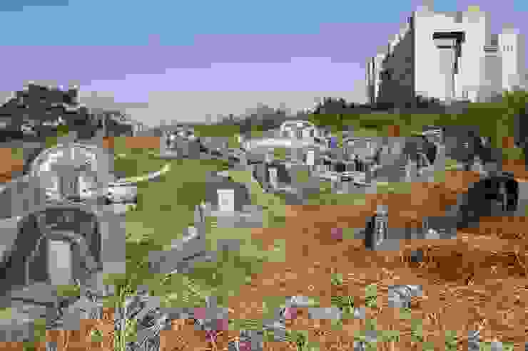 ▲南山公墓與後方的富貴南山紀念中心形成強烈的對比。