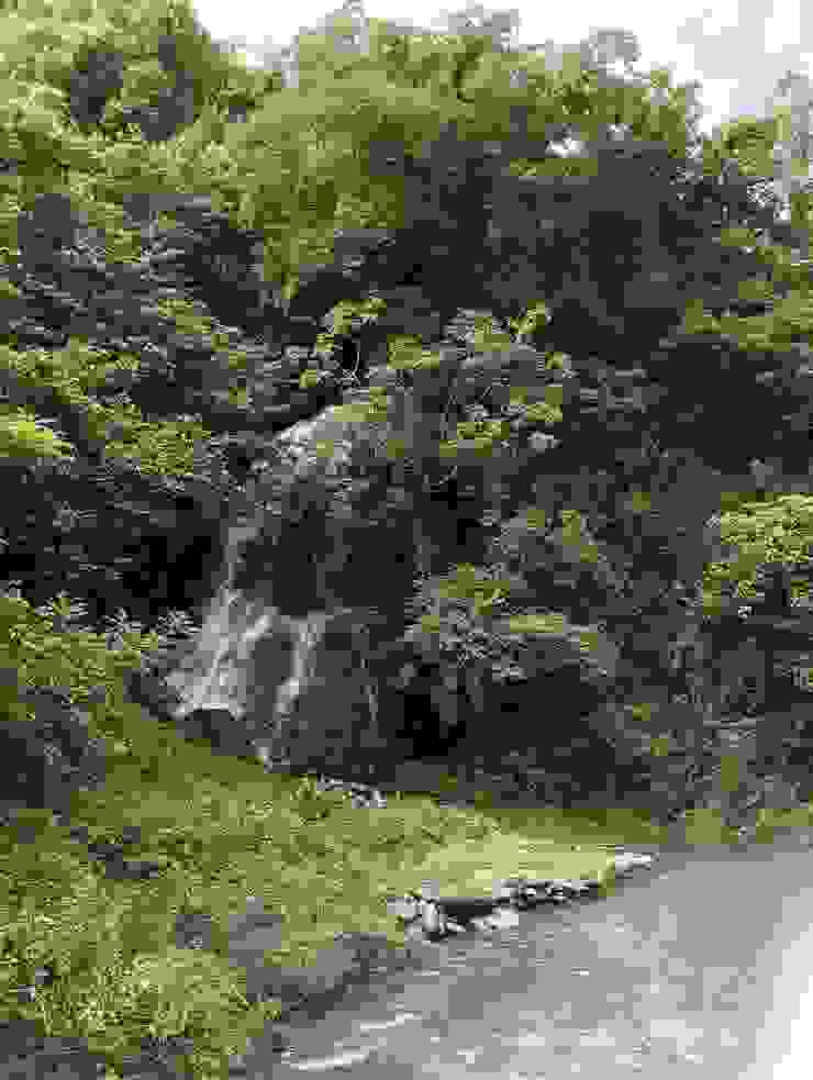羅木斯溪的小瀑，自拍攝