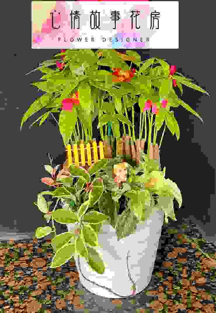 台南買盆栽，心情故事花房是您最好的選擇！這家花店擁有台南最多樣式和款式的盆栽，特別是觀葉植物，更是心情故事花房的強項之一