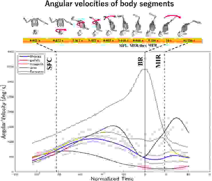 The proximal-to-distal sequencing of angular velocities of body segments. The values are the magnitude of the resultant angular velocity of each segment, given that the component of the segmental angular velocity around its longitudinal axis (i.e., the angular velocity of internal/external rotation for the arm and that of pronation/supination for the forearm) was not included for arm and forearm. This component was excluded for the two segments because it does not affect the linear velocity of the distal end of the segment or the motion-dependent kinetic interaction with the adjacent segment. The solid lines and dashed lines indicate the means and standard deviations of all subjects, respectively. The curved arrows on the pitching figures indicate the instants that the maximum angular velocities of respective body segments are achieved.