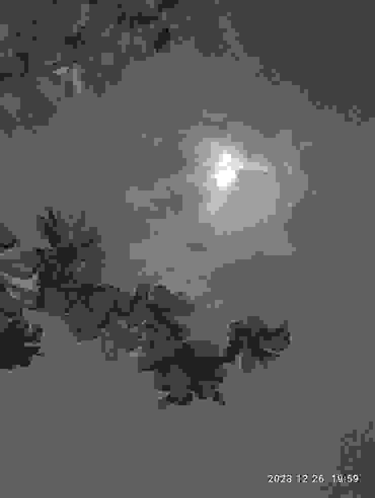 雲破月放溶溶光，自拍攝