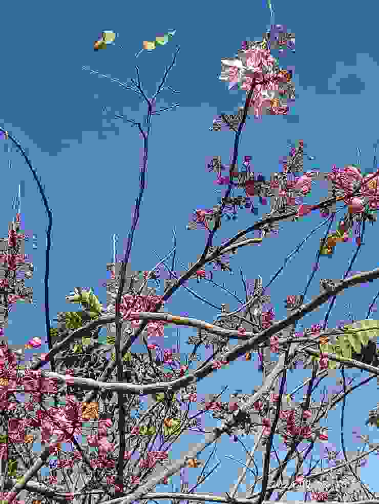 野曠催情三月粉紅陣雨樹花開早，自拍攝