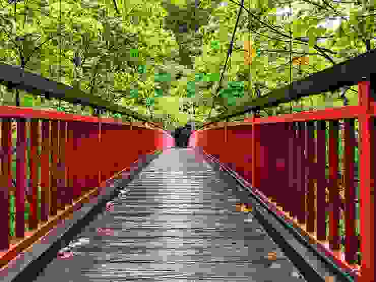 定山溪溫泉中的二見吊橋，可謂萬綠叢中一點紅